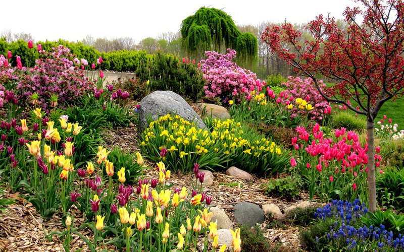 colorful spring flower garden