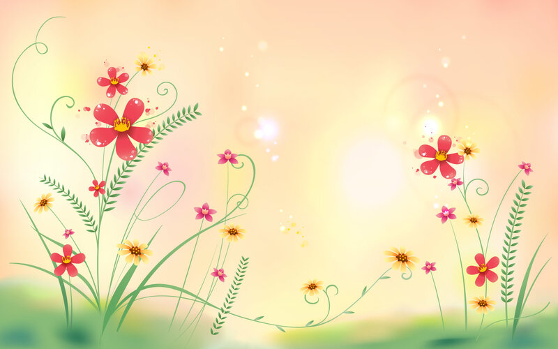 colorful spring flowers