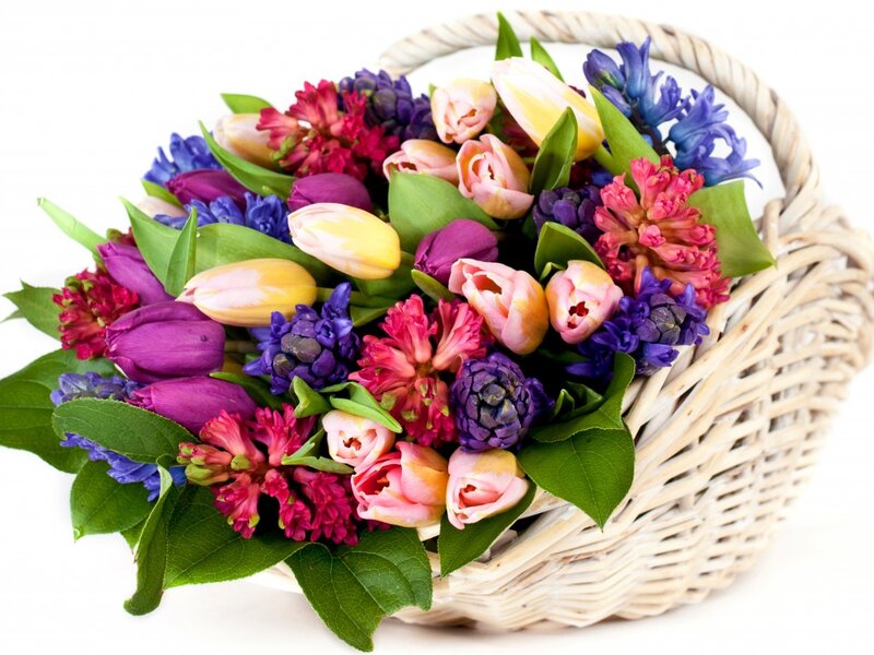 Colorful Spring Flowers — Purple, Vibrant