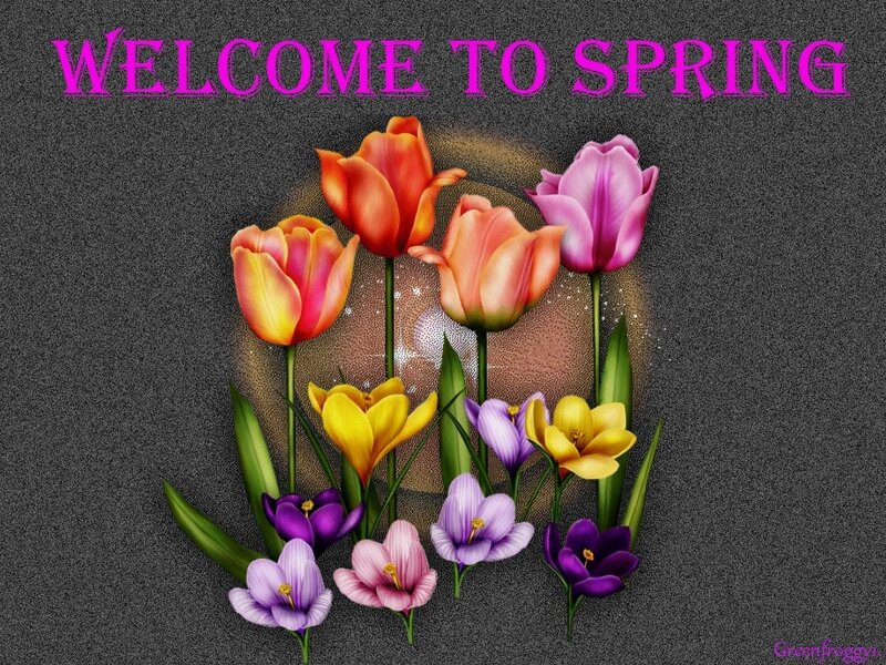 Colorful Spring Flowers — Purple, Welcoming