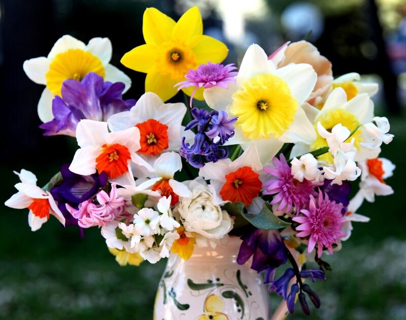 Colorful Spring Flowers — Yellow, Bright
