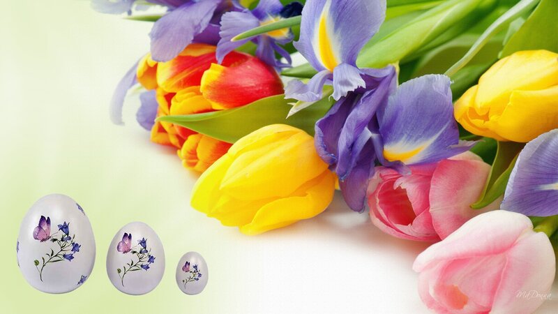 Colorful Spring Flowers — Yellow