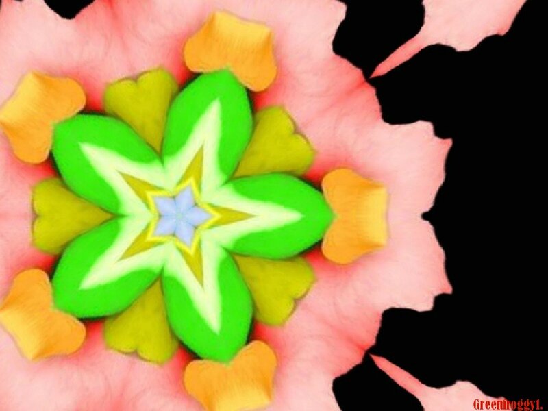 Colorful Star-shaped Flower