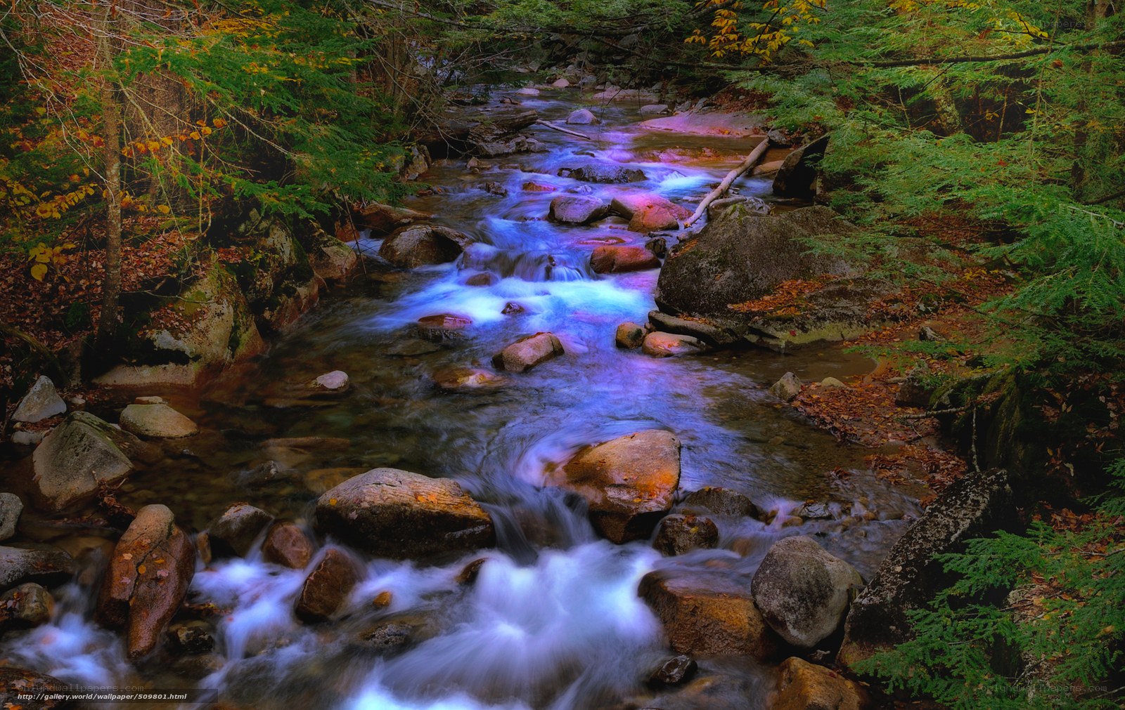 Colorful stream in autumn forest