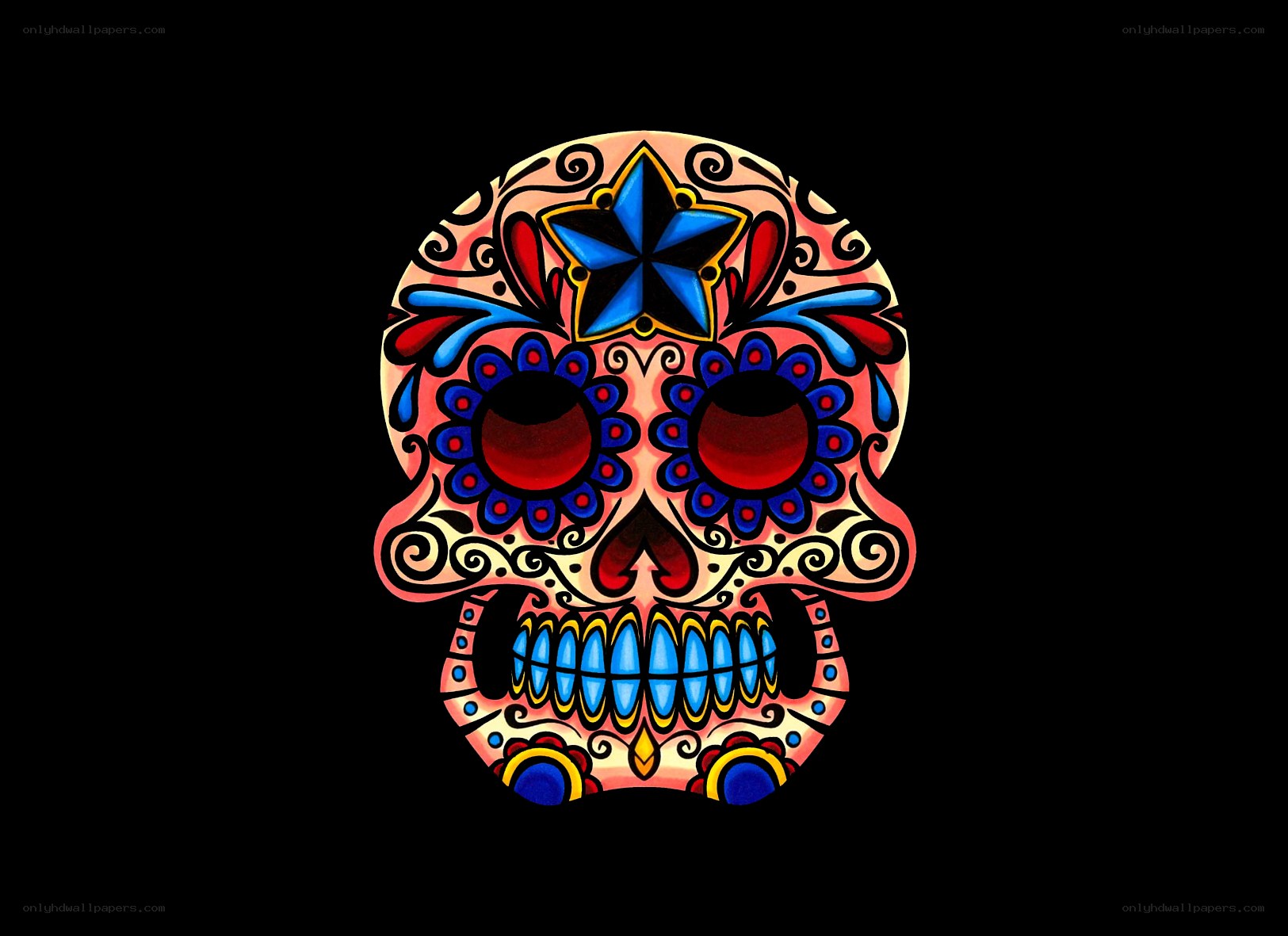 colorful sugar skull art