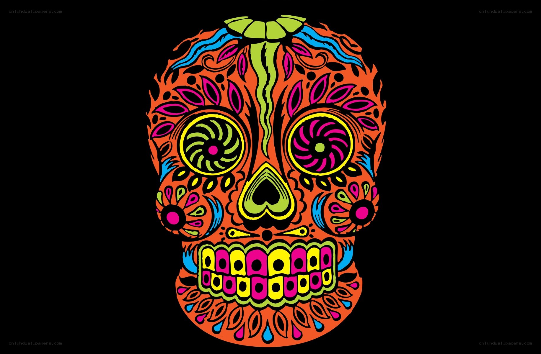 colorful sugar skull design