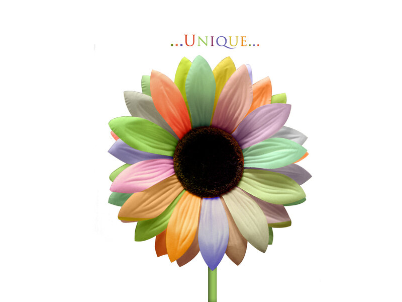 Colorful Sunflower