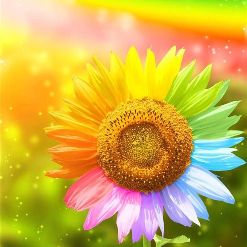 Colorful Sunflower — Yellow