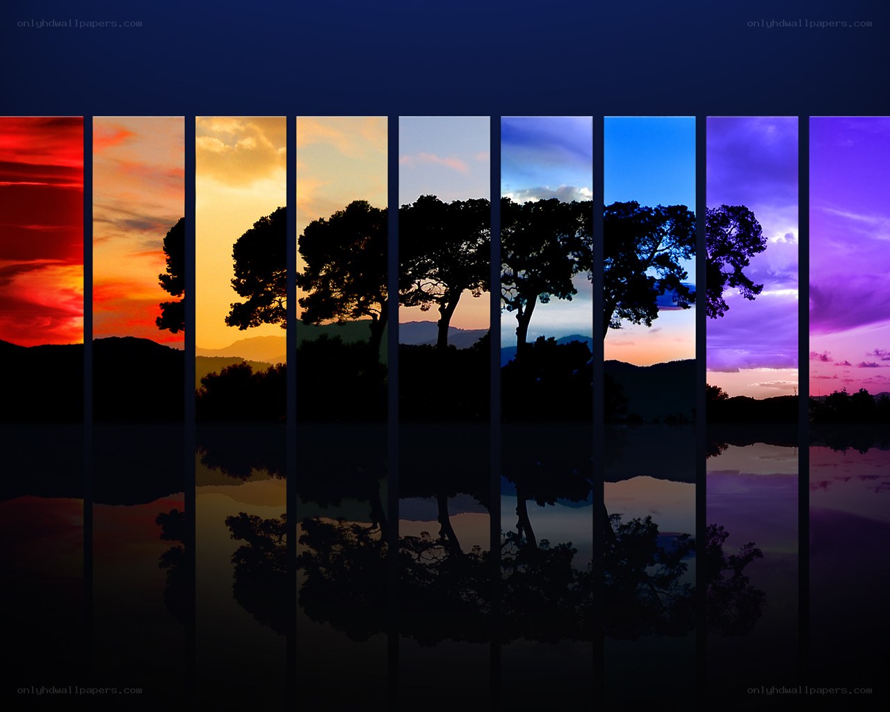 Colorful sunset landscape