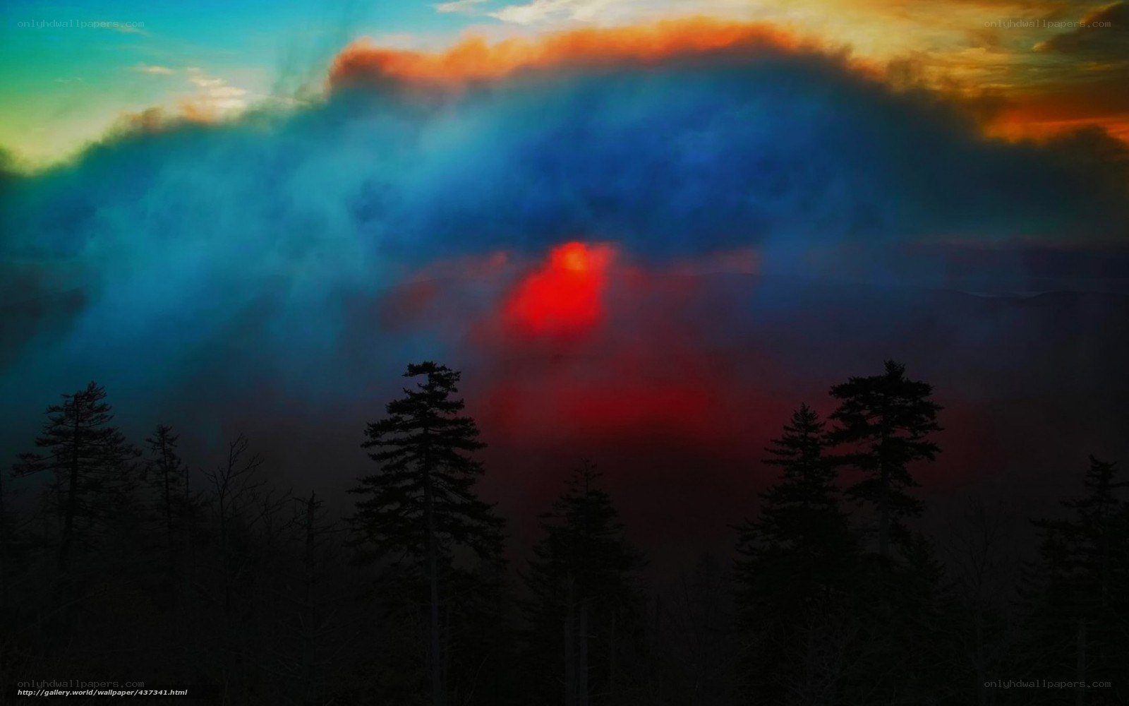Colorful sunset over forest