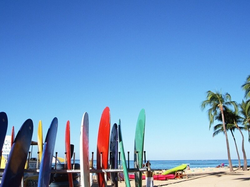 Colorful surfboards on a sunny beach