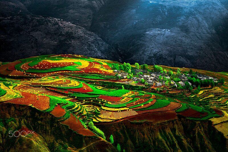 Colorful Terraced Fields — Green