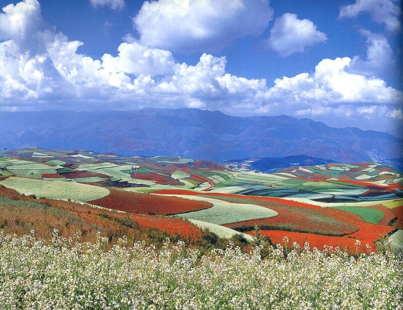 Colorful terraced fields landscape