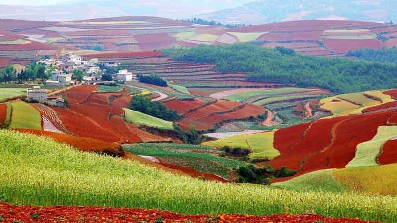 Colorful Terraced Fields — Red