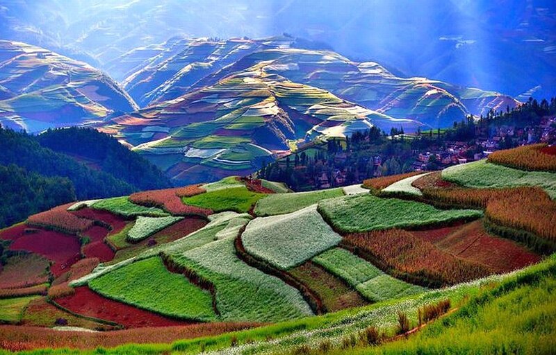 Colorful Terraced Fields