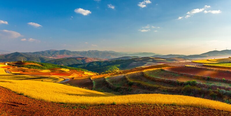 Colorful Terraced Fields — Yellow