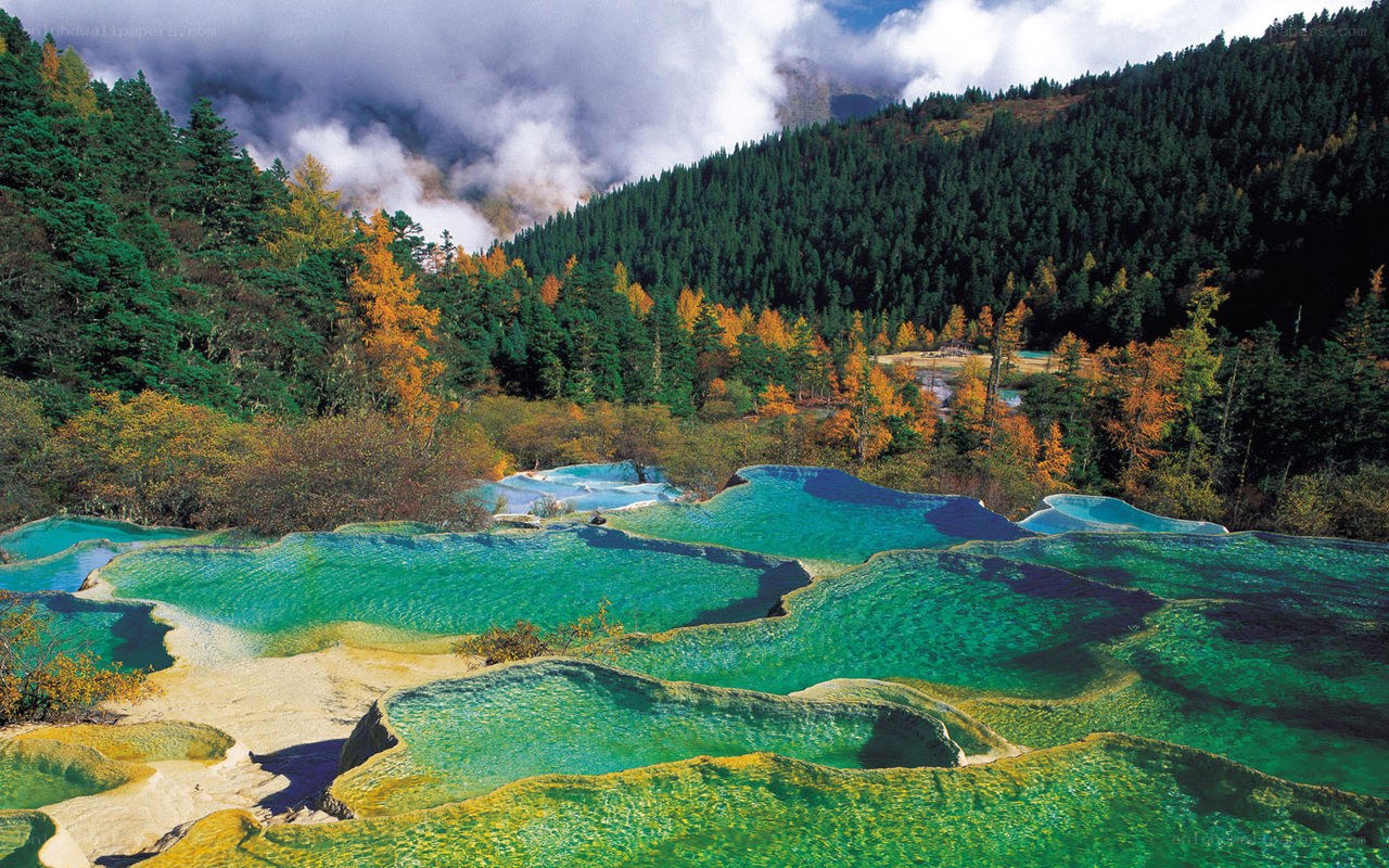 Colorful terraced pools in forest