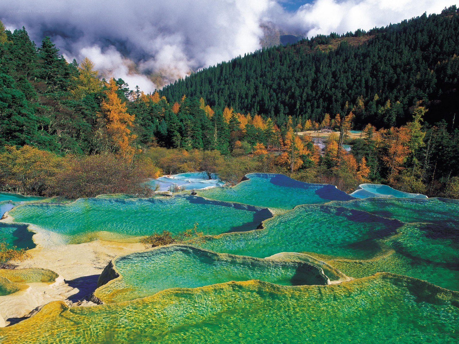 Colorful terraced pools in forest