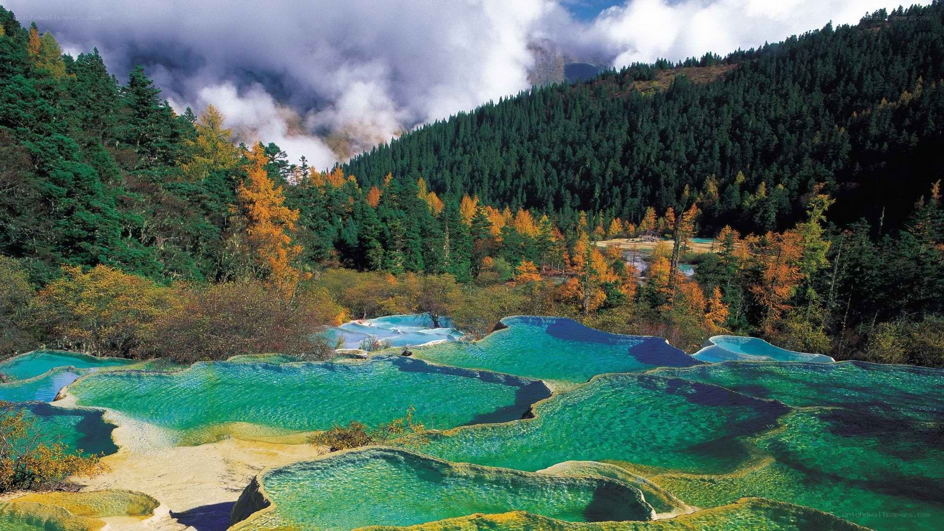 Colorful terraced pools in forest