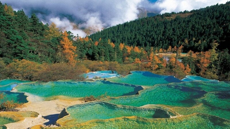 Colorful terraced pools in forest