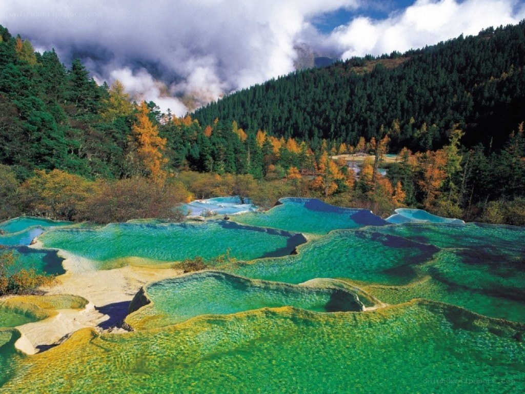 Colorful terraced pools in forest