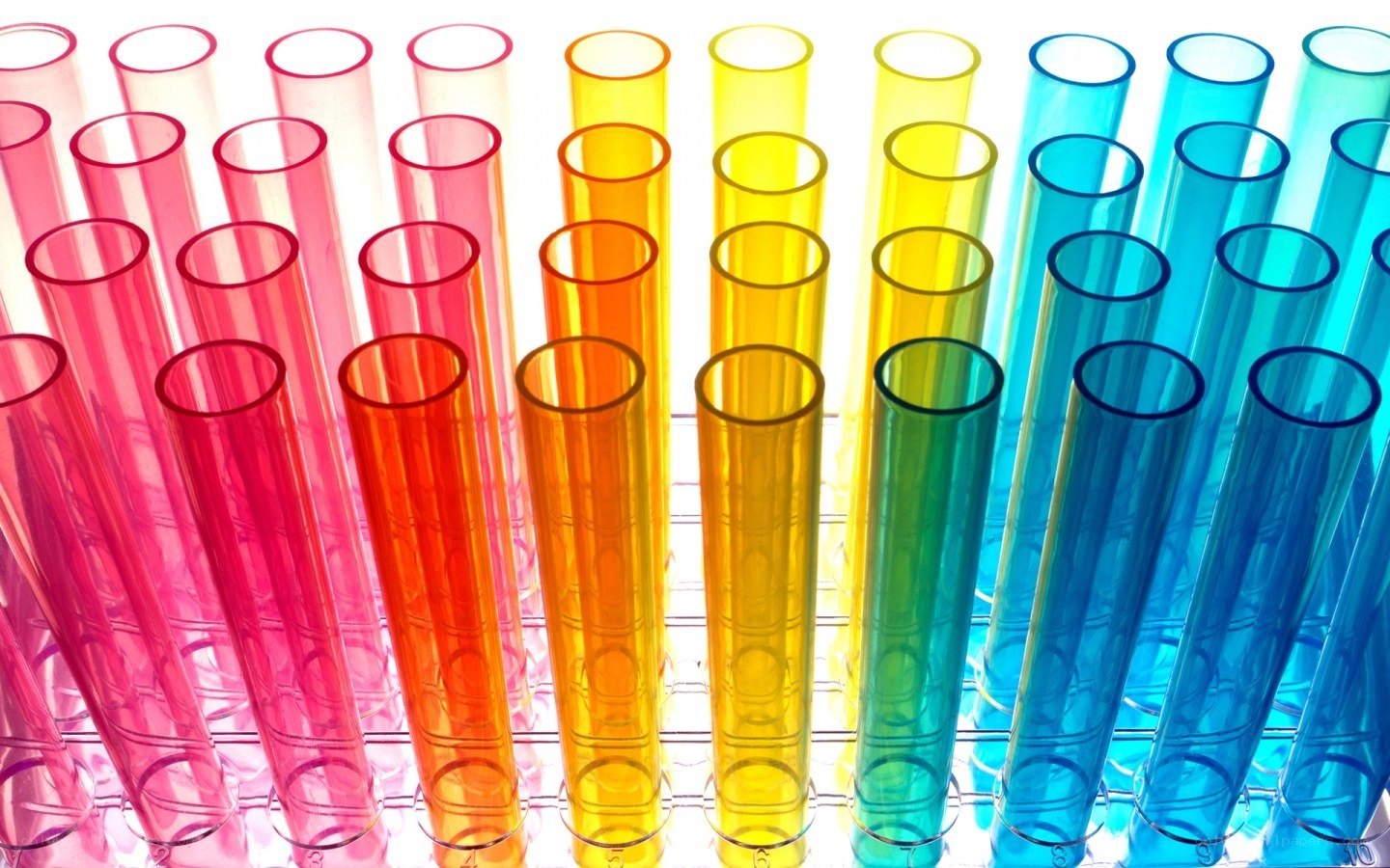 Colorful test tubes in a rack