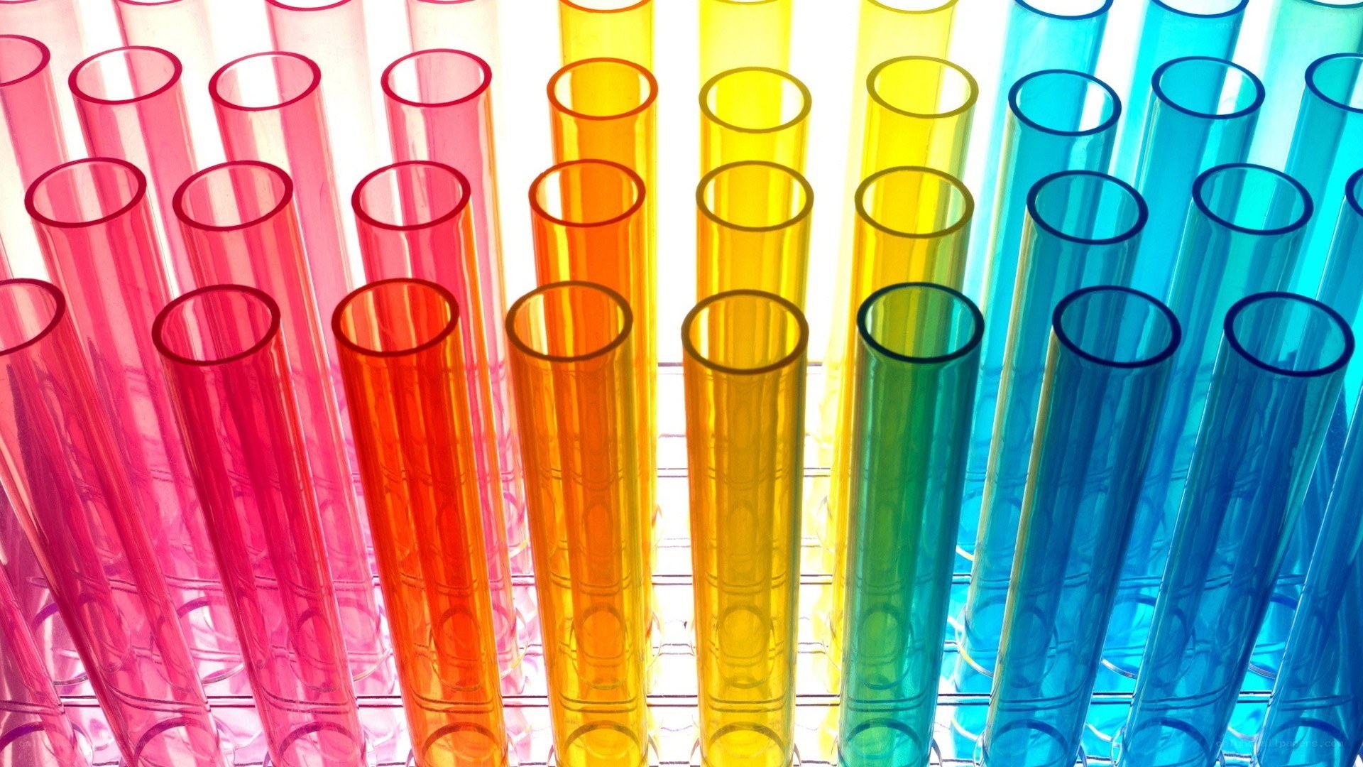 Colorful test tubes in a rack