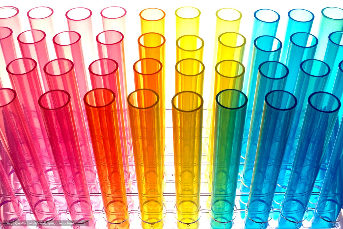 Colorful test tubes in a rack