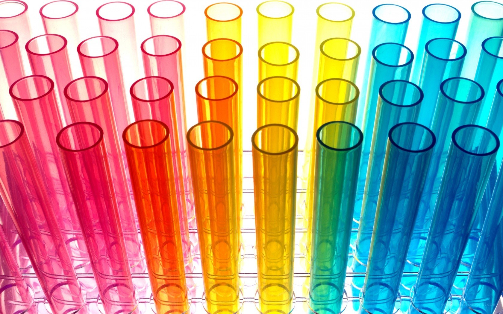 Colorful test tubes in rack