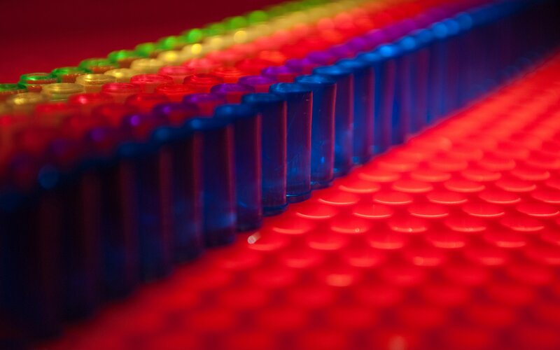 Colorful test tubes in rows