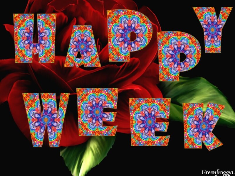 Colorful Text on Rose