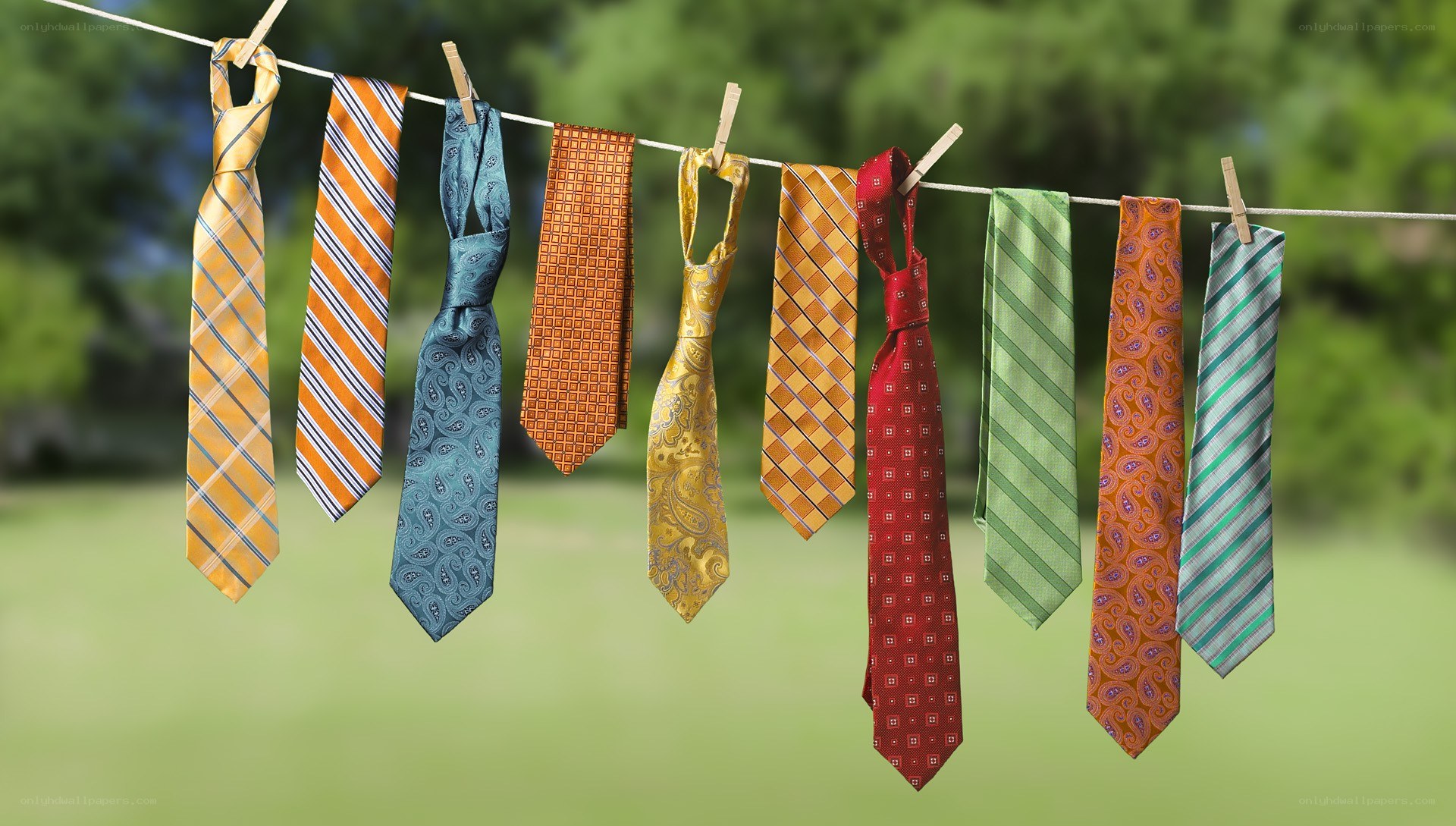 colorful ties on a clothesline