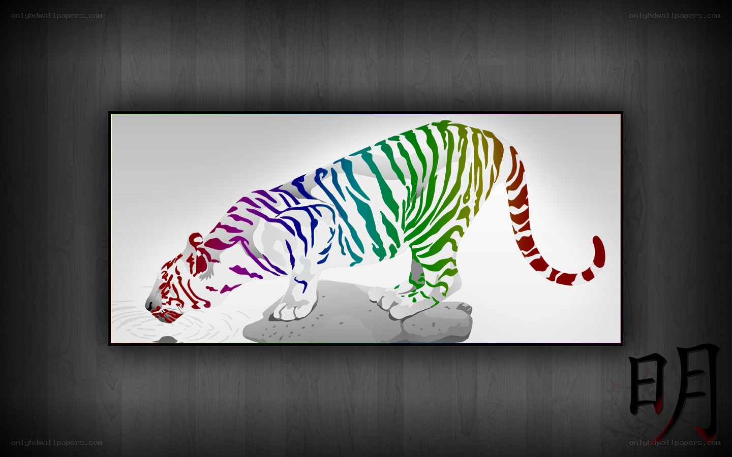 Colorful tiger drinking water