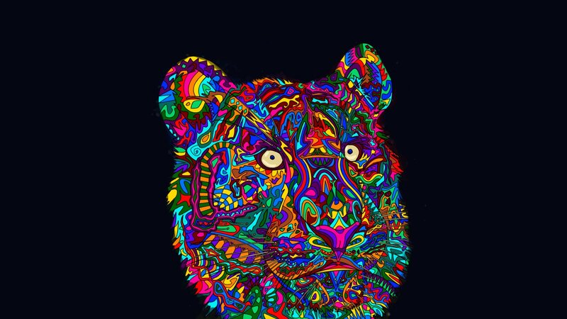 colorful tiger head art