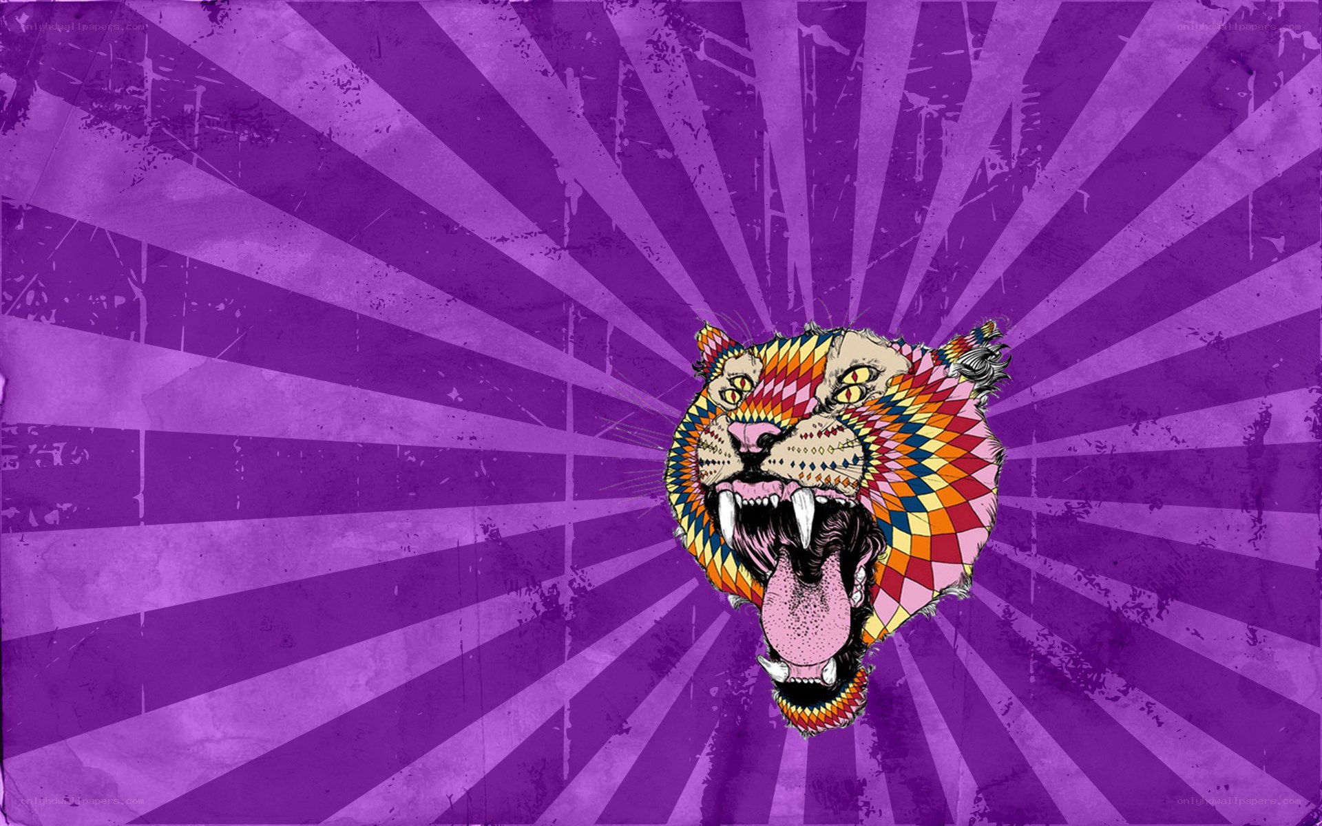 colorful tiger head art