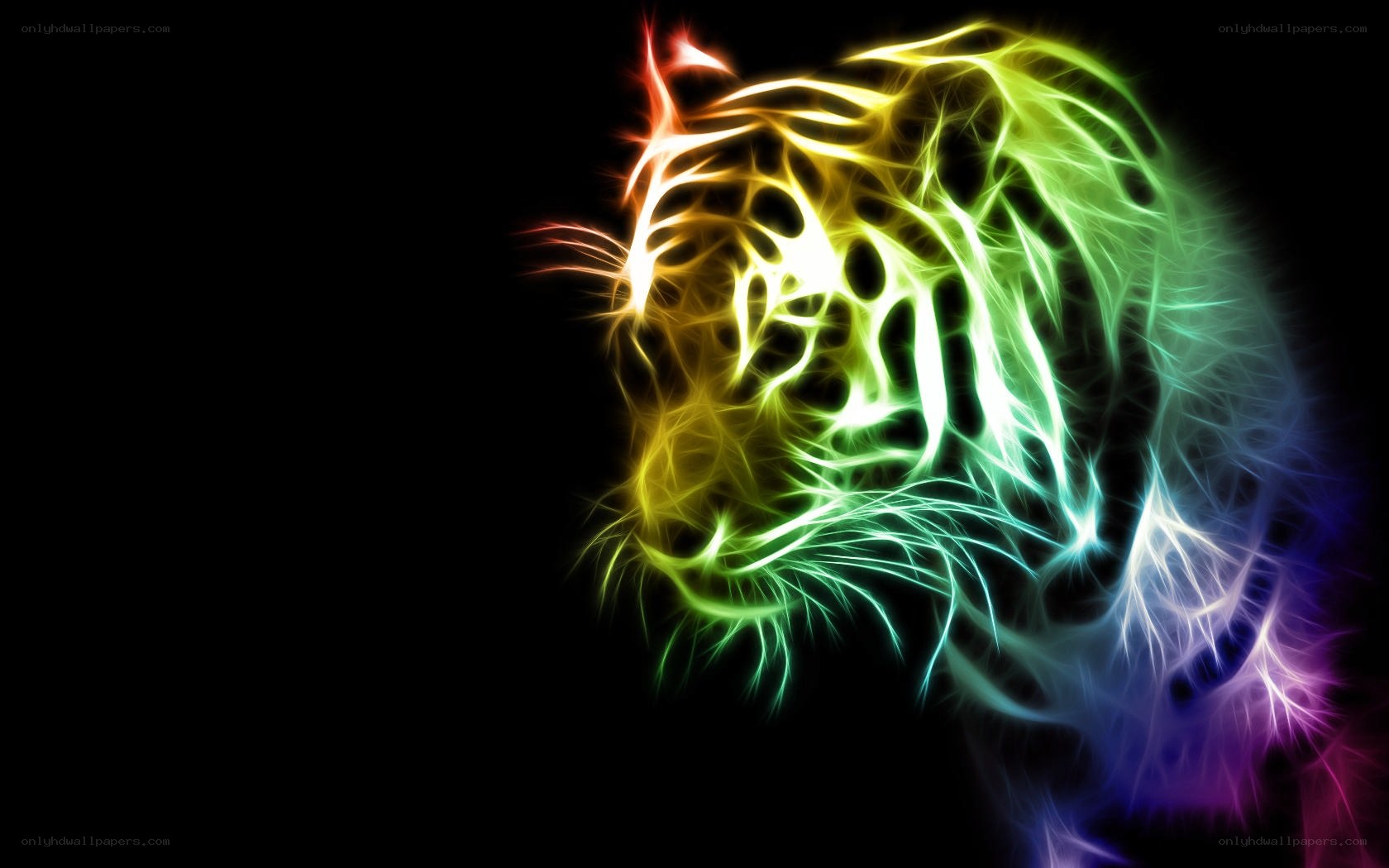 colorful tiger head design