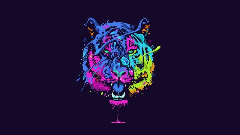 Colorful Tiger Head