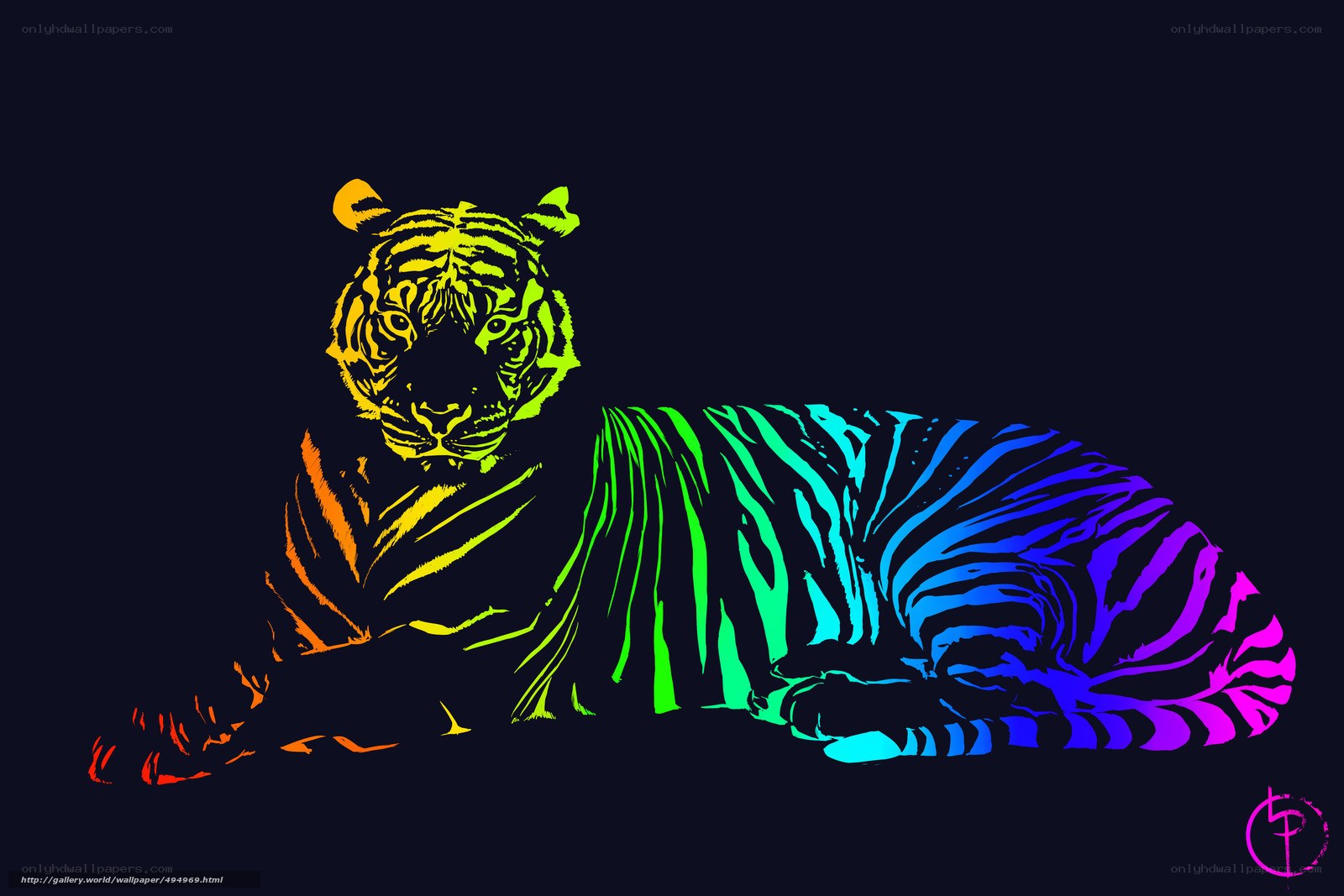 colorful tiger illustration