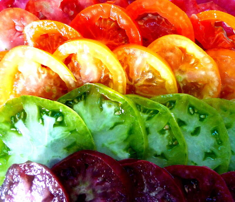 Colorful tomato slices