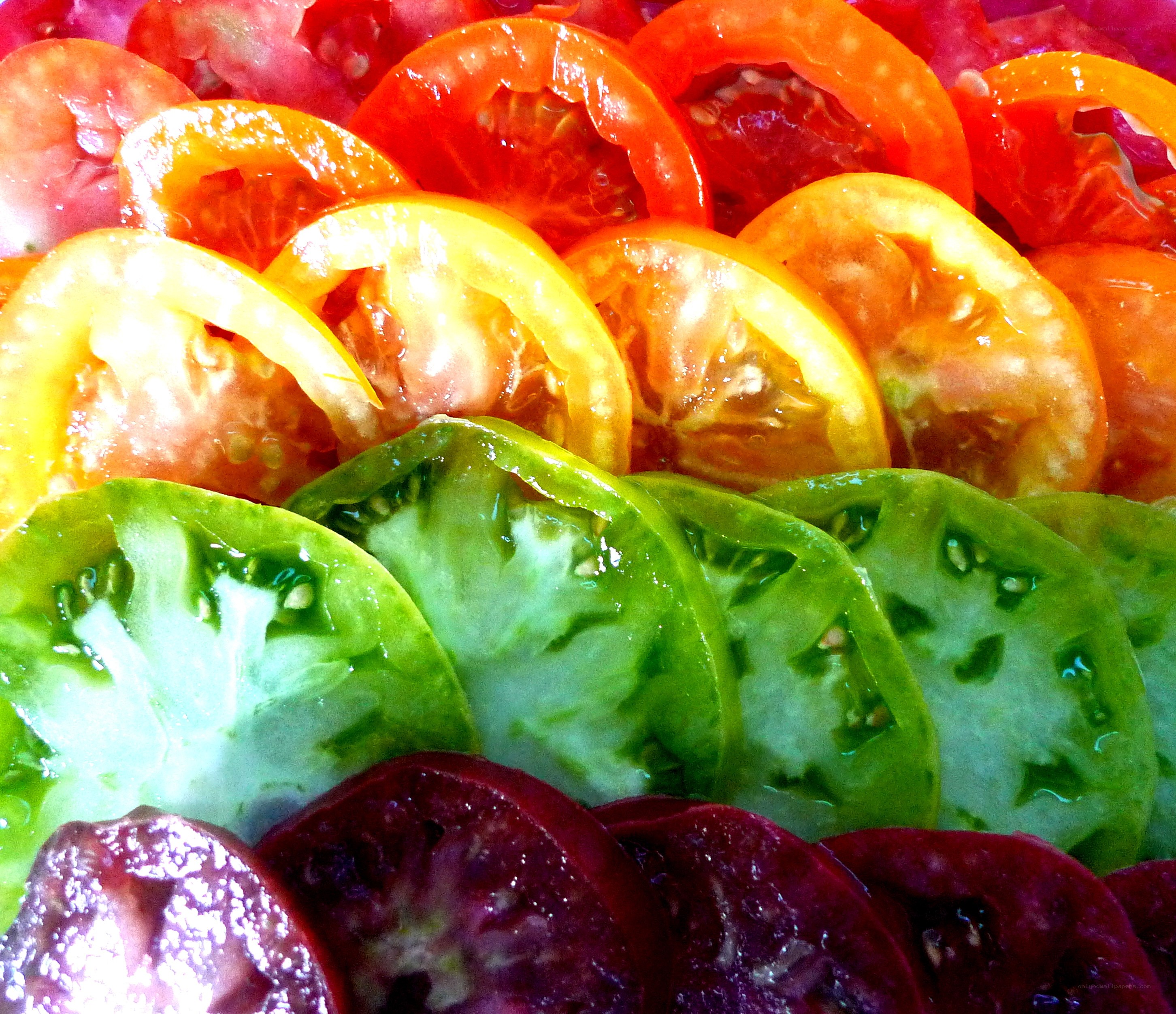 Colorful tomato slices