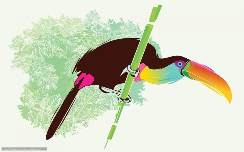 Colorful Toucan Bird — Green, Vibrant
