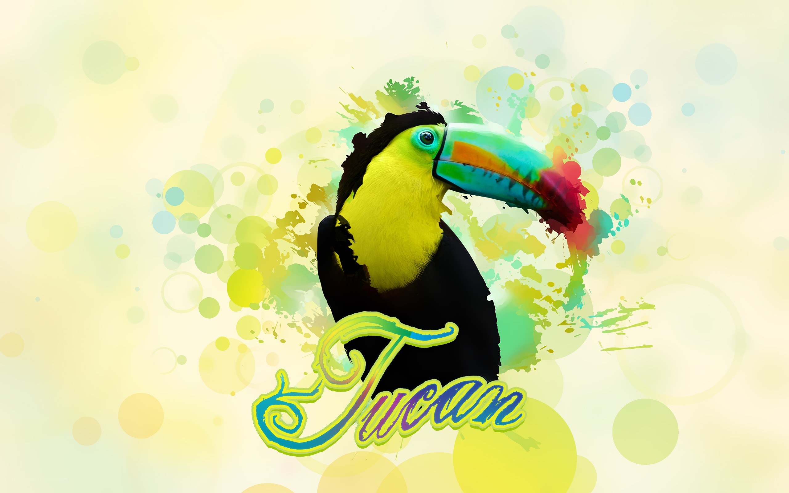 Colorful toucan illustration
