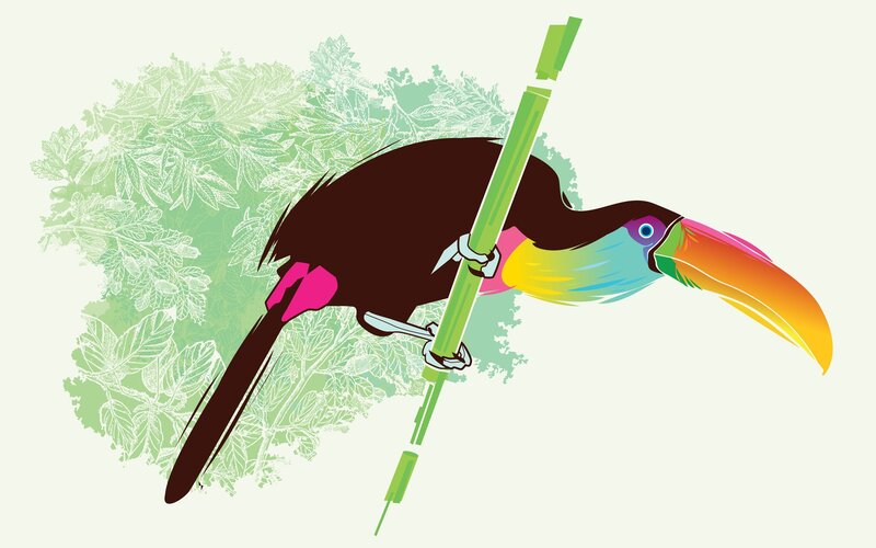 Colorful Toucan on Branch