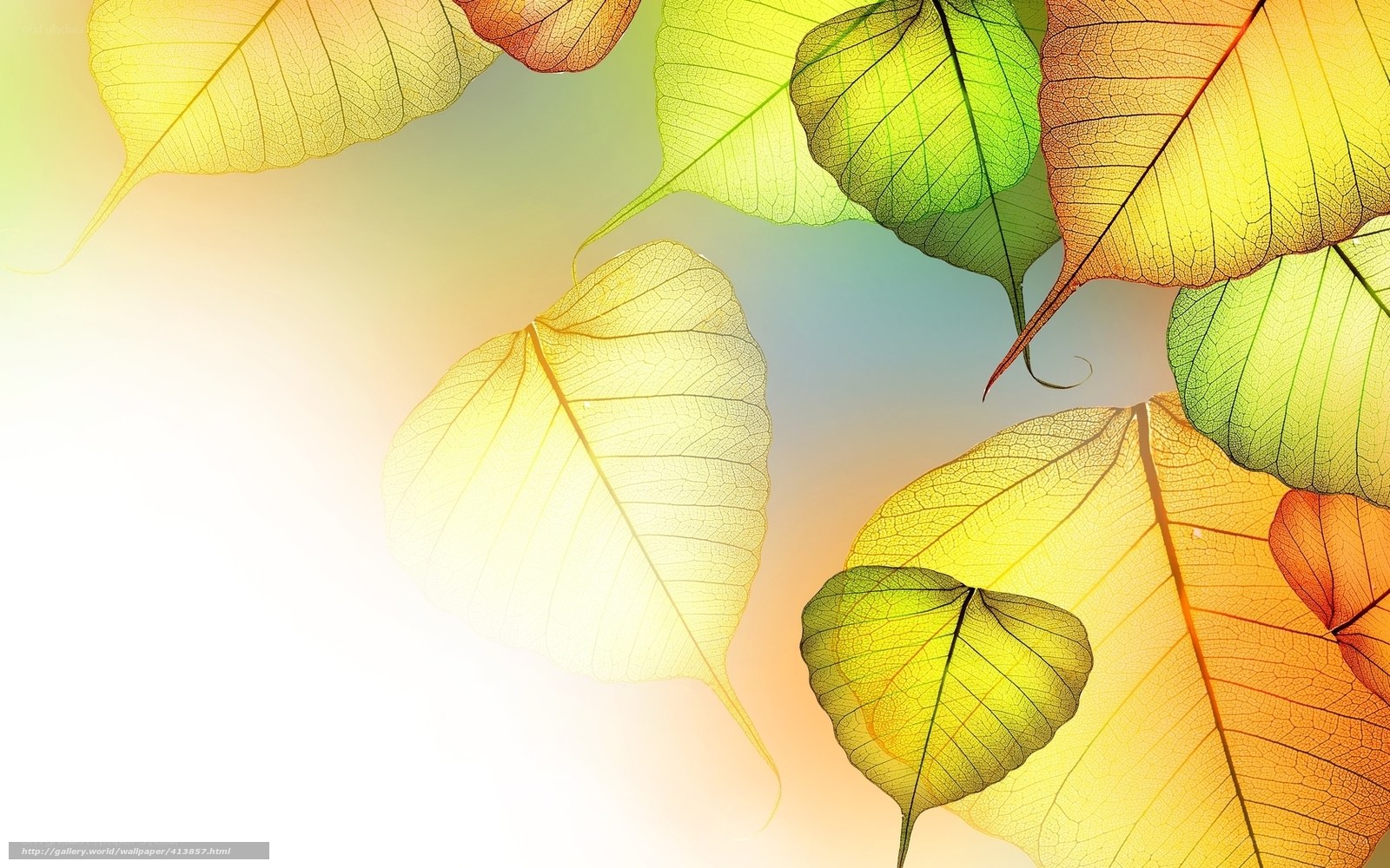 Colorful translucent leaves
