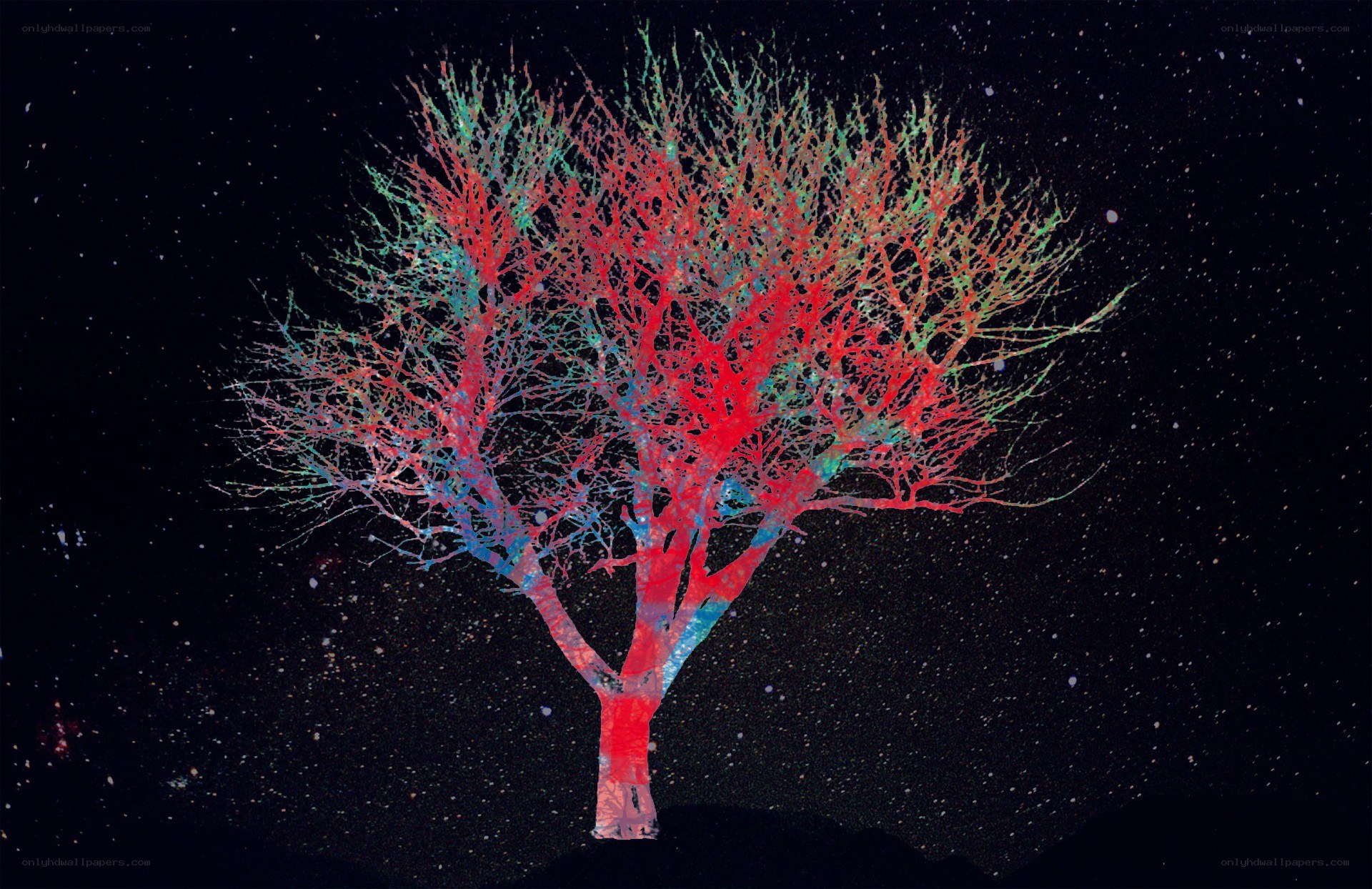 colorful tree against starry sky