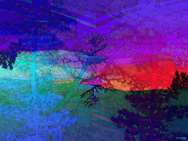 Colorful Tree Landscape — Purple