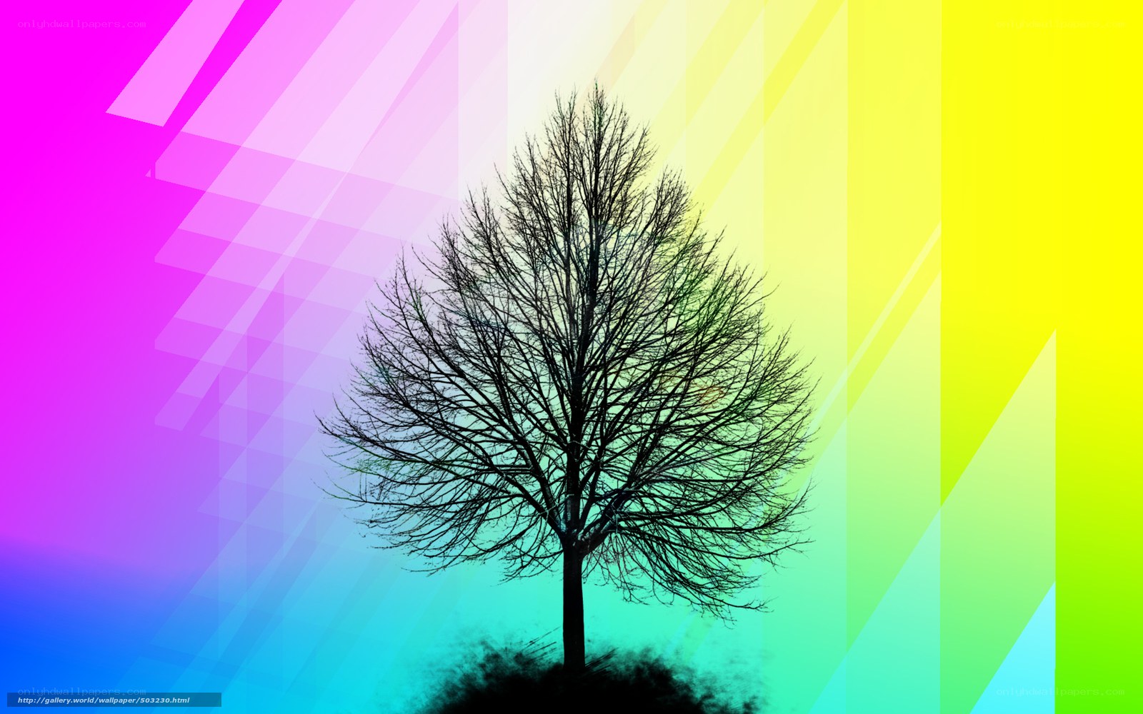 colorful tree silhouette