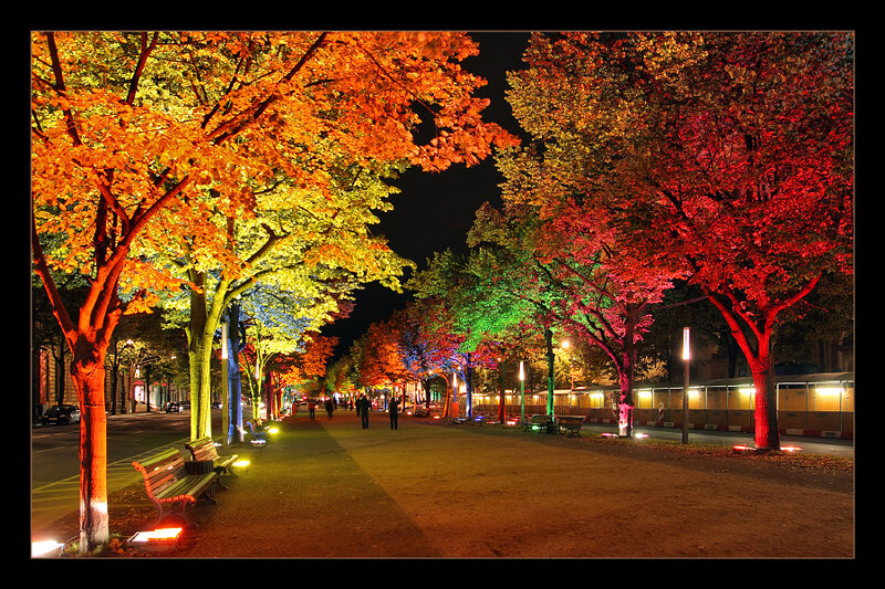 Colorful Trees at Night