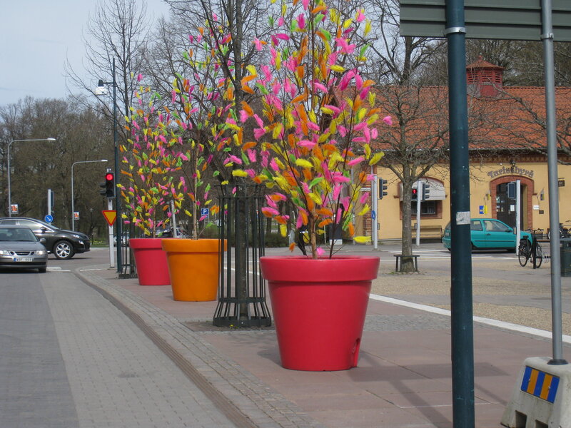 Colorful Trees in Pots