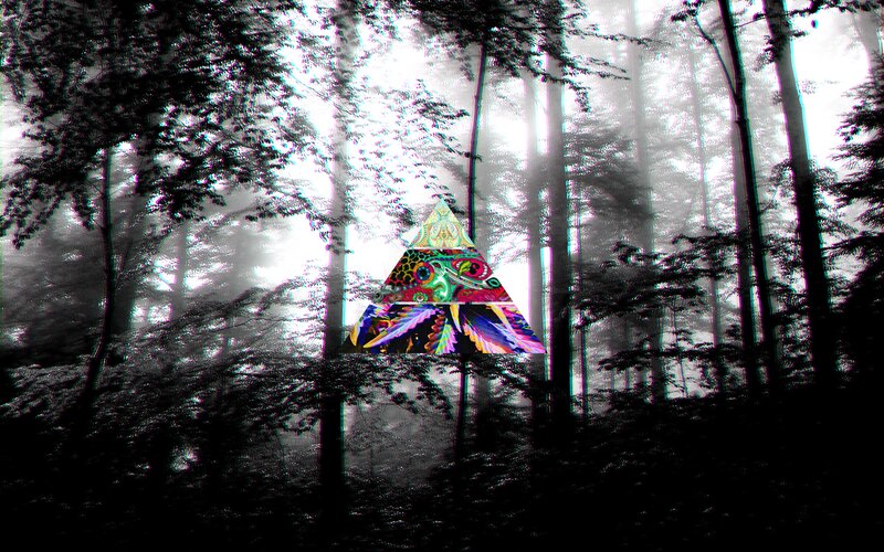 Colorful Triangle in Forest